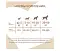 Мнямс консервы для собак и щенков старше 6 месяцев мусс из курицы с печенью  #4